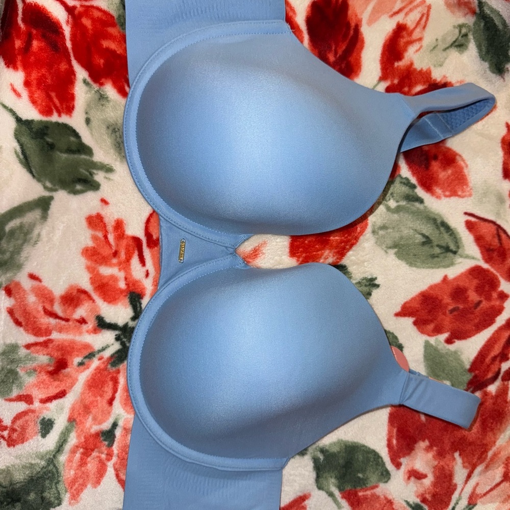Sky Blue Women's Bra